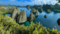 Raja Ampat merupakan kawasan dengan keanekaragaman hayati laut tertinggi di dunia. Investasi terbaik di Raja Ampat adalah investasi pada konservasi, edukasi, dan pemberdayaan masyarakat lokal.