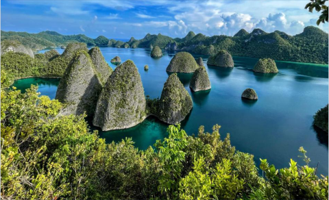 Raja Ampat merupakan kawasan dengan keanekaragaman hayati laut tertinggi di dunia. Investasi terbaik di Raja Ampat adalah investasi pada konservasi, edukasi, dan pemberdayaan masyarakat lokal. Raja Ampat merupakan kawasan dengan keanekaragaman hayati laut tertinggi di dunia. Investasi terbaik di Raja Ampat adalah investasi pada konservasi, edukasi, dan pemberdayaan masyarakat lokal.