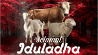 Iduladha Versi Muhammadiyah Iduladha Versi Muhammadiyah