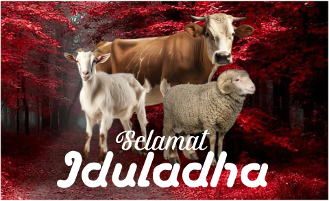 Iduladha Versi Muhammadiyah Iduladha Versi Muhammadiyah