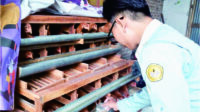 Hasil telur dari program Pengembangan Kapasitas Organisasi Mahasiswa (PPK Ormawa) Unit Kegiatan Mahasiswa Penalaran dan Riset Universitas Jenderal Soedirman Purwokerto (UKMPR Unsoed) nantinya sebagai bahan Pemberian Makanan Tambahan (PMT) di Poliklinik Kesehatan Desa Muntang Hasil telur dari program Pengembangan Kapasitas Organisasi Mahasiswa (PPK Ormawa) Unit Kegiatan Mahasiswa Penalaran dan Riset Universitas Jenderal Soedirman Purwokerto (UKMPR Unsoed) nantinya sebagai bahan Pemberian Makanan Tambahan (PMT) di Poliklinik Kesehatan Desa Muntang
