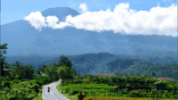 Alang Alang Bundel di Desa Bojongsari Purbalingga Alang Alang Bundel di Desa Bojongsari Purbalingga