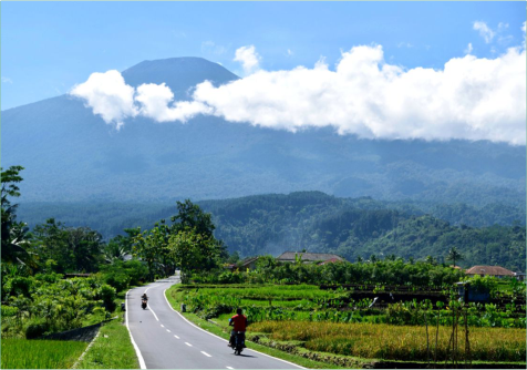 Alang Alang Bundel di Desa Bojongsari Purbalingga Alang Alang Bundel di Desa Bojongsari Purbalingga