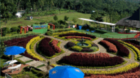 Bukit Tangkeban menjadi salah satu destinasi wisata favorit di Kabupaten Pemalang yang menawarkan pesona keindahan yang sangat menarik Bukit Tangkeban menjadi salah satu destinasi wisata favorit di Kabupaten Pemalang yang menawarkan pesona keindahan yang sangat menarik