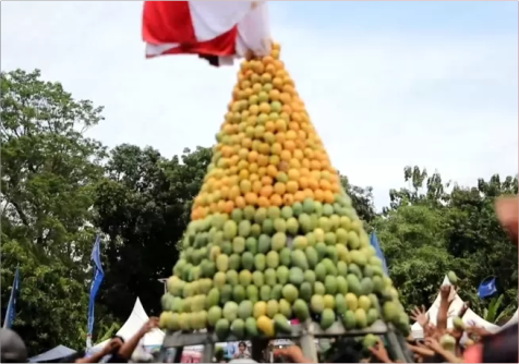 Pemalang Siap Gelar Festival Mangga Bulan November 2025 di Penggarit