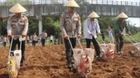 Polres Purbalingga melaksanakan kegiatan Penanaman Jagung Serentak Kuartal IV tahun 2025 di Desa Selakambang, Rabu 8 Oktober 2025. Polres Purbalingga melaksanakan kegiatan Penanaman Jagung Serentak Kuartal IV tahun 2025 di Desa Selakambang, Rabu 8 Oktober 2025.