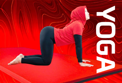 Salah satu pose fundamental dalam kategori ini ialah Bridge Pose (Setu Bandha Sarvangasana). Salah satu pose fundamental dalam kategori ini ialah Bridge Pose (Setu Bandha Sarvangasana).