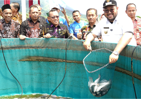 Inovasi ketahanan pangan berbasis sistem bioflok ini mencapai puncaknya saat Wakil Bupati Purbalingga, Dimas Prasetyahani, menghadiri langsung kegiatan panen raya di lokasi budidaya, Kamis 8 Januari 2026.