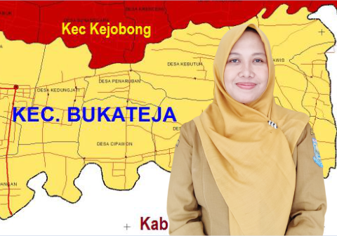Camat Bukateja, Nur Azizah Erlita