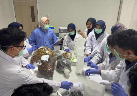Fakultas Kedokteran Universitas Muhammadiyah Purwokerto (FK UMP) melanjutkan rangkaian Workshop Kedokteran Herbal dan Kedokteran Islam At Tibbun Nabawi melalui sesi praktik langsung.