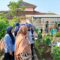 Mahasiswa Fakultas Kedokteran Universitas Muhammadiyah Purwokerto (FK UMP) menjalani kunjungan edukatif ke Kebun Kedokteran Herbal di Desa Karangsari, Banyumas.