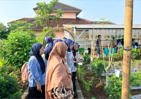 Mahasiswa Fakultas Kedokteran Universitas Muhammadiyah Purwokerto (FK UMP) menjalani kunjungan edukatif ke Kebun Kedokteran Herbal di Desa Karangsari, Banyumas.