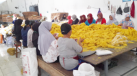Proses pengemasan produksi Pabrik Mi Ho Kie San di Desa Wlahar Kulon, Kecamatan Patikraja, Kabupaten Banyumas dengan metode manual  sejak tahun 1925. Foto: Alifa Rida Fatonatush Izza, Mahasiswi Prodi Pendidikan Bahasa Inggris Angkatan 2023, Fakultas Ilmu Budaya Universitas Jenderal Soedirman Purwokerto