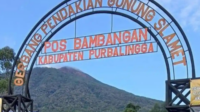 Pengelola jalur pendakian secara resmi menghentikan seluruh aktivitas wisata pendakian melalui Pos Bambangan sejak Minggu 5 April 2026