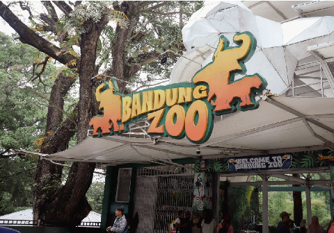  Bandung Zoo terletak strategis pada Jalan Kebun Binatang Nomor 6, Lebak Siliwangi, Kecamatan Coblong, Kota Bandung, persis dekat kampus Institut Teknologi Bandung dan Hutan Kota Babakan Siliwangi.