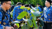 Para CPNS wajib membawa satu bibit tanaman seperti tabebuya atau karet kebo sebelum acara mulai sebagai simbol kepedulian lingkungan.