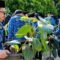 Para CPNS wajib membawa satu bibit tanaman seperti tabebuya atau karet kebo sebelum acara mulai sebagai simbol kepedulian lingkungan.