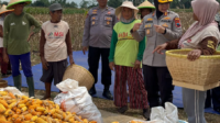 Kapolres Purbalingga AKBP Anita Indah Setyaningrum berbincang dengan petani jagung usai panen raya jagung serentak kuartal kedua tahun 2026 di Desa Kasih, Kecamatan Kertanegara, Kabupaten Purbalingga, Sabtu 16 Mei 2026 siang.