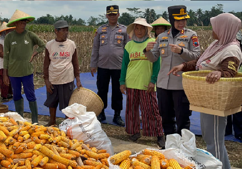 Kapolres Purbalingga AKBP Anita Indah Setyaningrum berbincang dengan petani jagung usai panen raya jagung serentak kuartal kedua tahun 2026 di Desa Kasih, Kecamatan Kertanegara, Kabupaten Purbalingga, Sabtu 16 Mei 2026 siang.