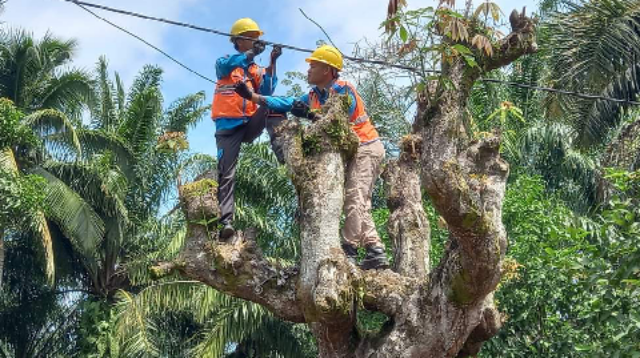 Pemadaman Listrik di Purbalingga Selasa, 23 Juni 2026, Terdampak Area Bojong Hingga Bukateja