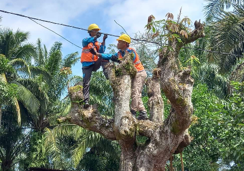 Pemadaman Listrik di Purbalingga Selasa, 23 Juni 2026, Terdampak Area Bojong Hingga Bukateja Pemadaman Listrik di Purbalingga Selasa, 23 Juni 2026, Terdampak Area Bojong Hingga Bukateja