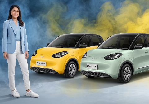 Wuling BinguoEV Wuling BinguoEV