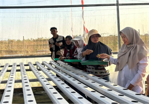 Tim PPK Ormawa BEM Fakultas Pertanian dan Perikanan UMP menggelar pelatihan budidaya hidroponik bersama warga Desa Purbadana Tim PPK Ormawa BEM Fakultas Pertanian dan Perikanan UMP menggelar pelatihan budidaya hidroponik bersama warga Desa Purbadana
