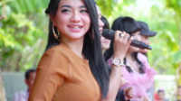 New Pallapa memiliki perjalanan panjang dalam memperkenalkan karakter dangdut koplo kepada masyarakat berbagai daerah.