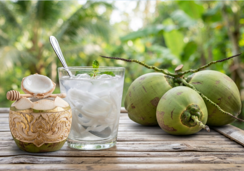 Kelapa Muda