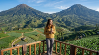 Destinasi Posong yang menyajikan pemandangan spektakuler tujuh puncak gunung sekaligus. Udara pagi yang sangat dingin membalut area perkebunan tembakau serta kopi nan hijau menyejukkan mata.